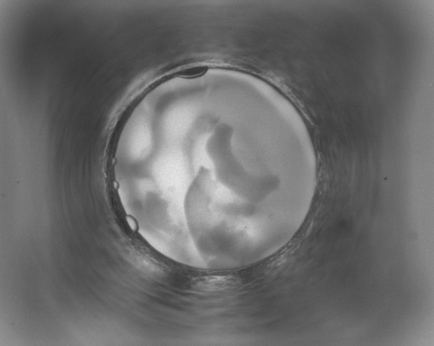 X0000066520151200604141823