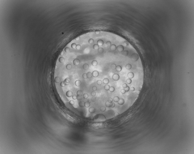 X0000066520153200604141823