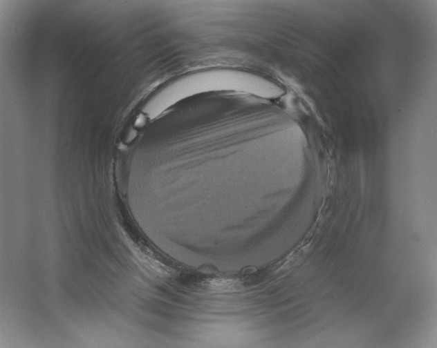 X0000066520154200604141823