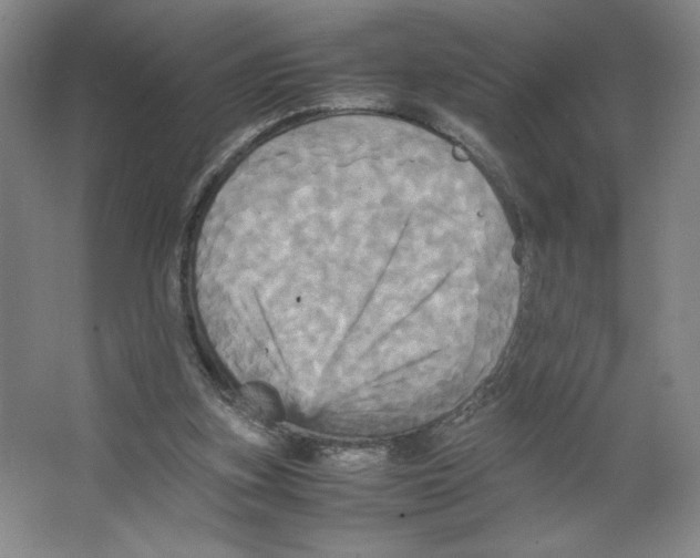 X0000066520155200604141823