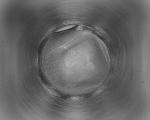 X0000066520158200604141823