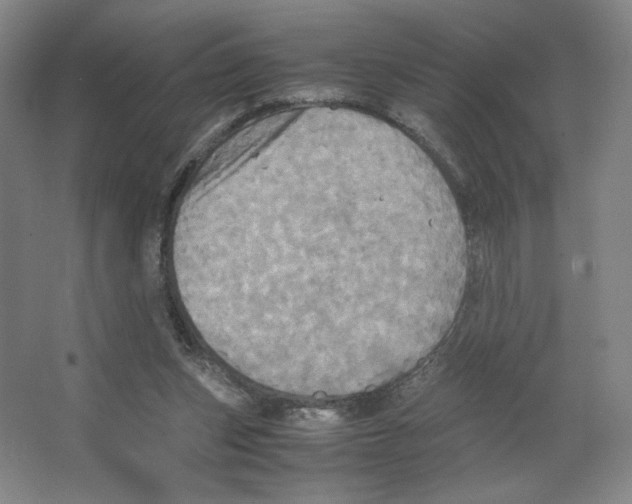 X0000066520159200604141823