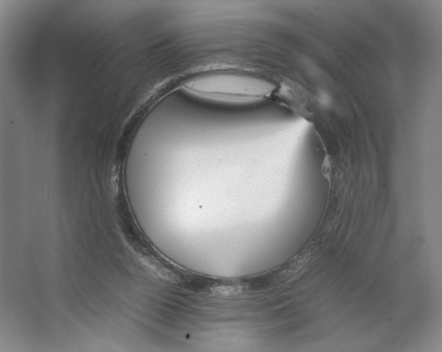 X0000066520160200604141823