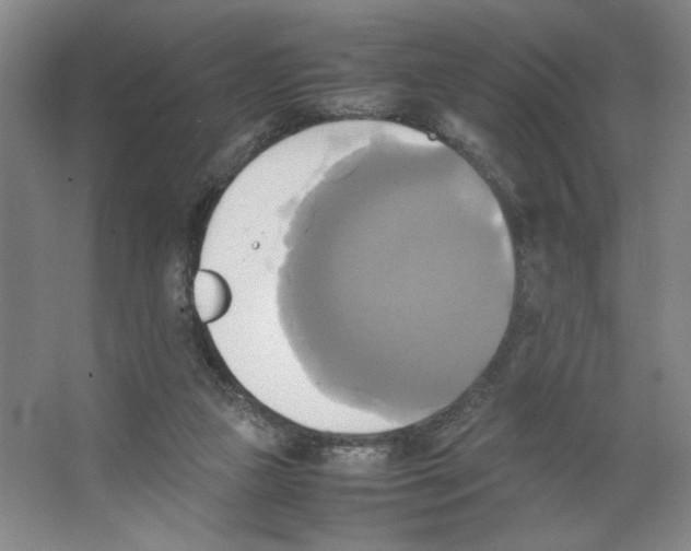 X0000066520161200604141823