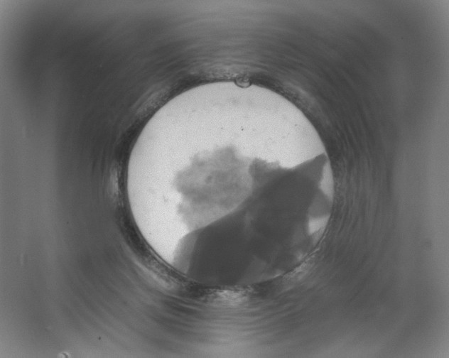 X0000066520166200604141823