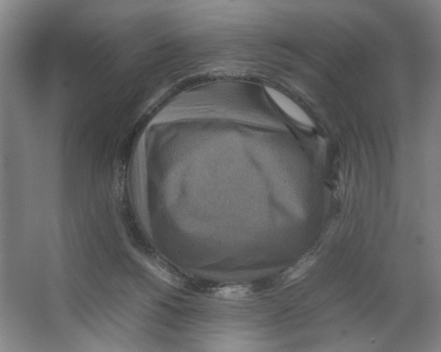 X0000066520168200604141823