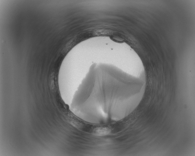 X0000066520169200604141823