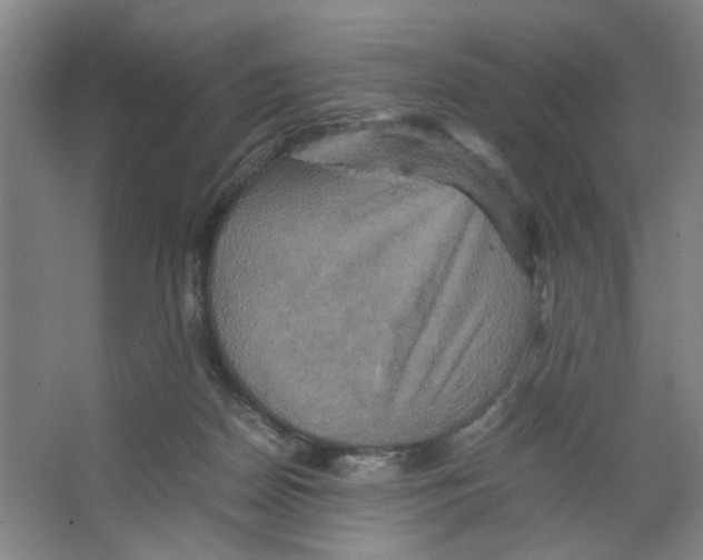 X0000066520170200604141823