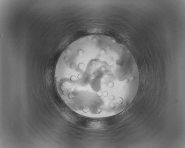 X0000066520171200604141823