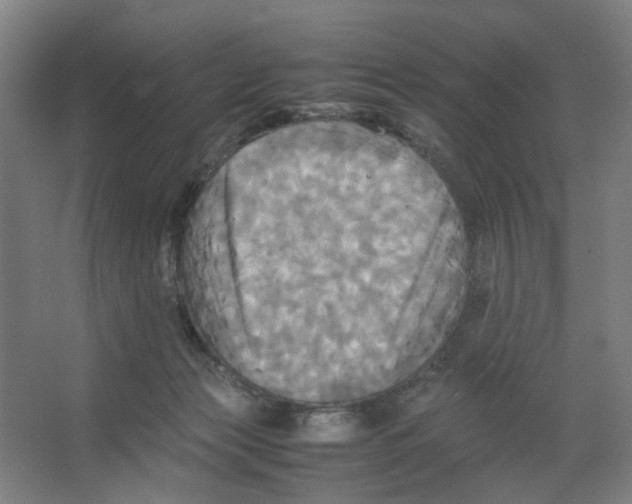 X0000066520173200604141823