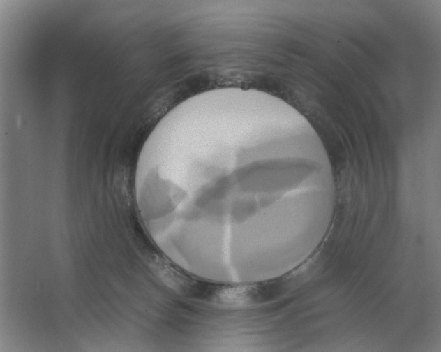 X0000066520178200604141823