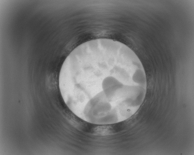 X0000066520179200604141823