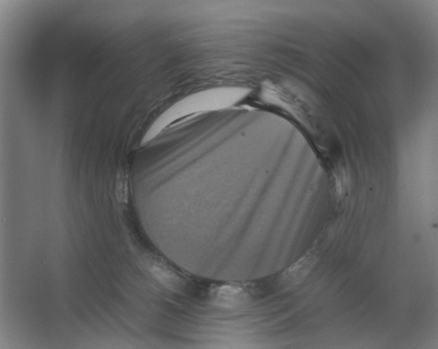 X0000066520180200604141823