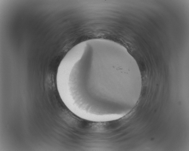 X0000066520182200604141823