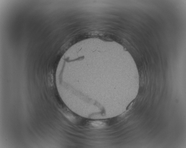 X0000066520183200604141823