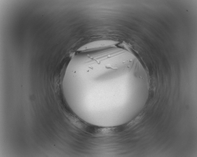 X0000066520184200604141823