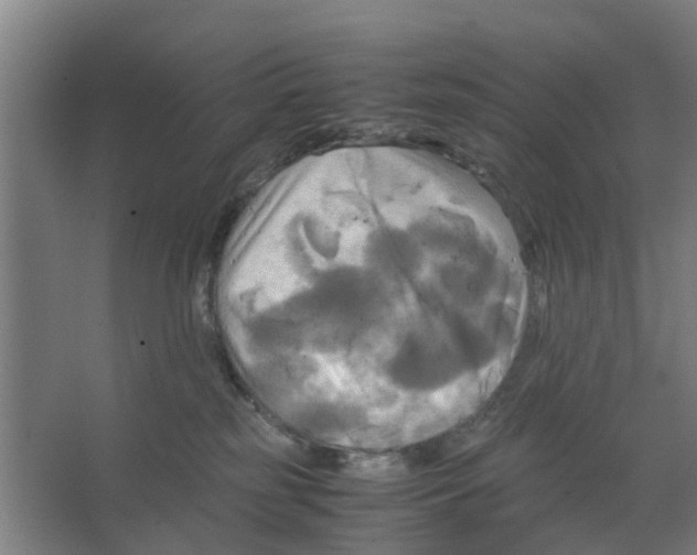 X0000066520185200604141823