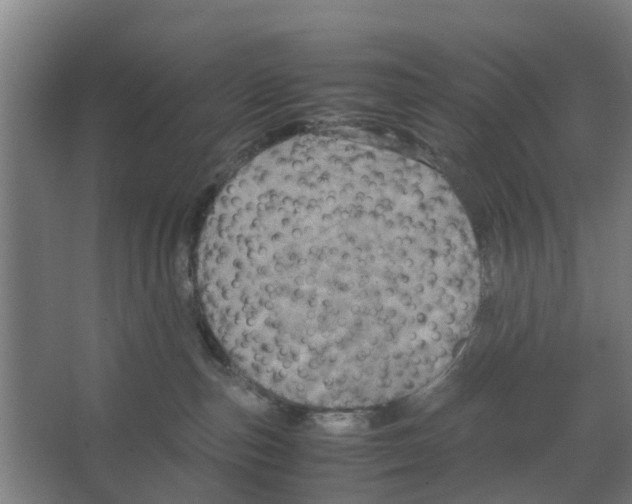 X0000066520187200604141823