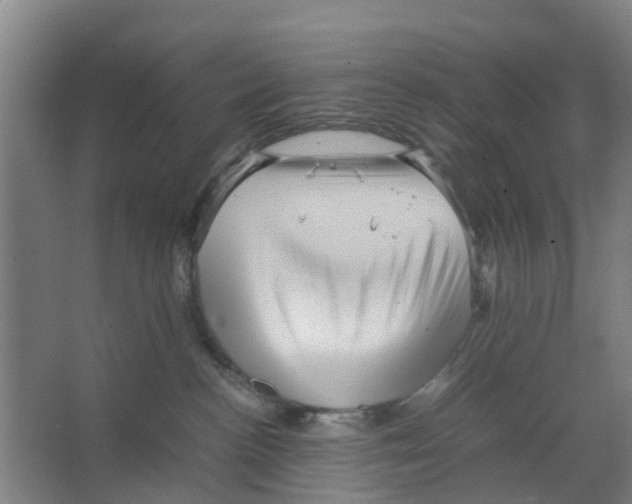 X0000066520188200604141823