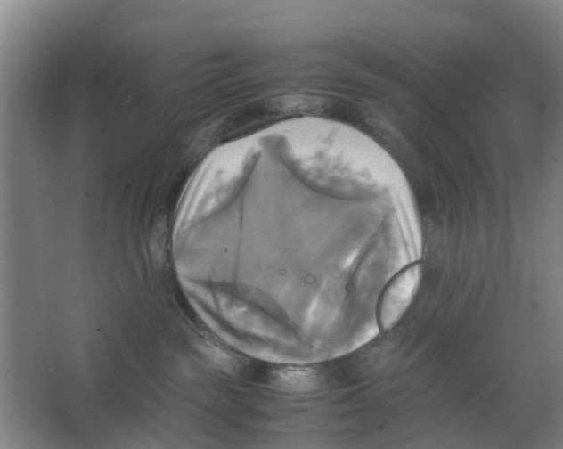 X0000066520189200604141823