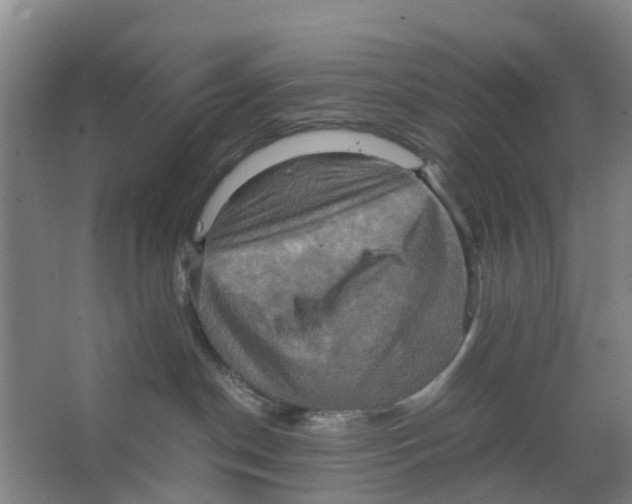 X0000066520190200604141823