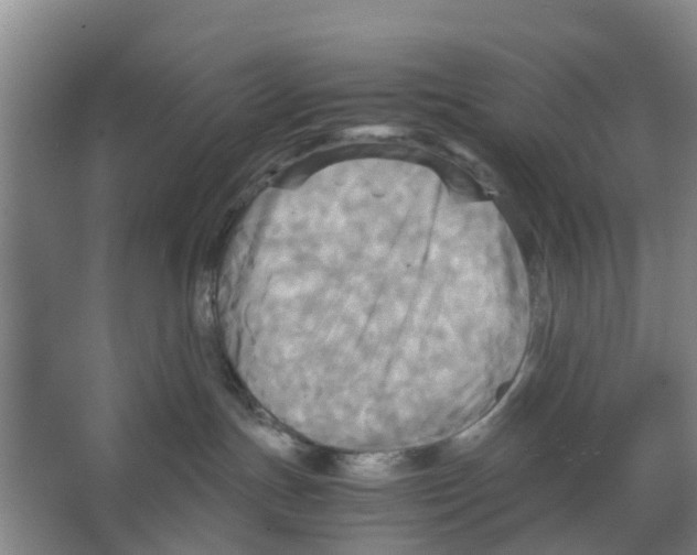 X0000066520191200604141823