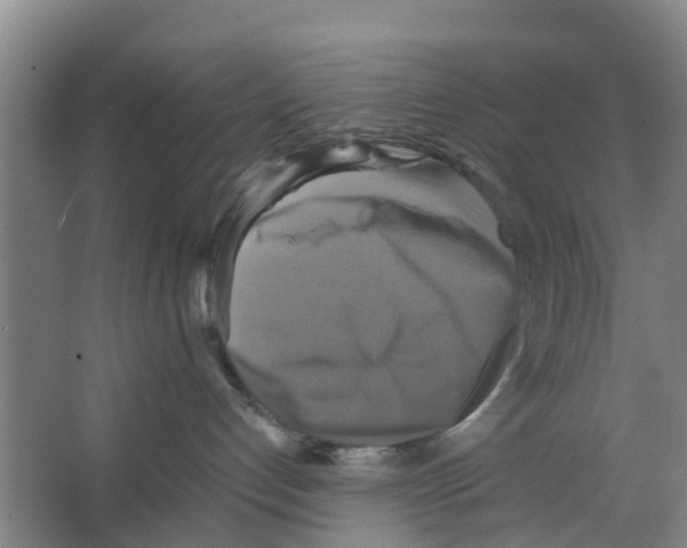 X0000066520192200604141823