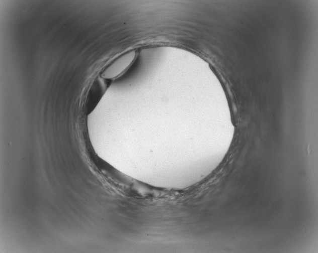 X0000066520193200604141823