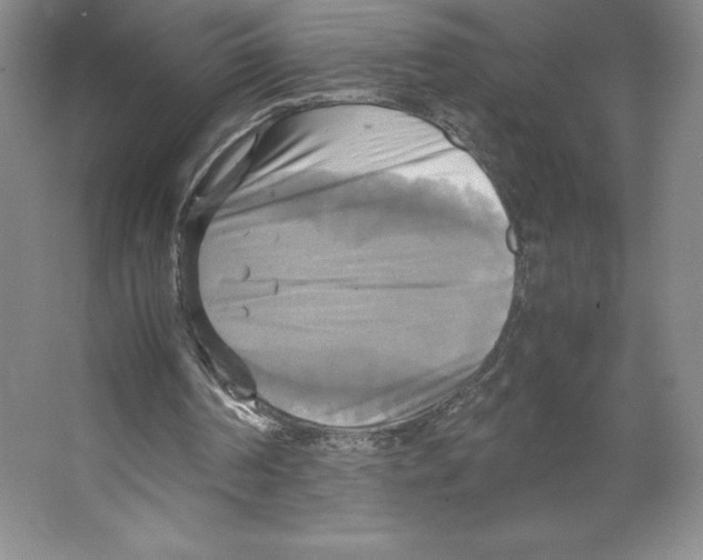 X0000066520194200604141823