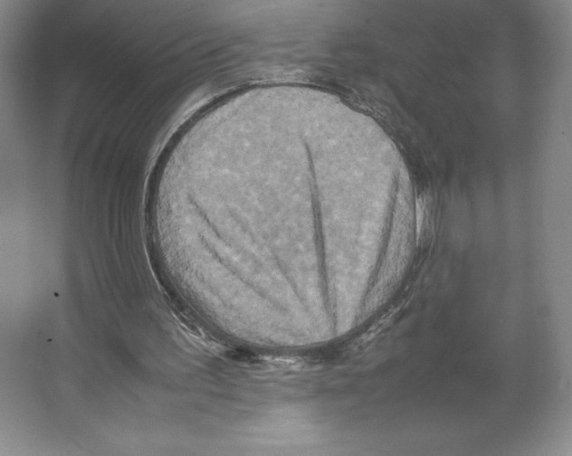 X0000066520195200604141823