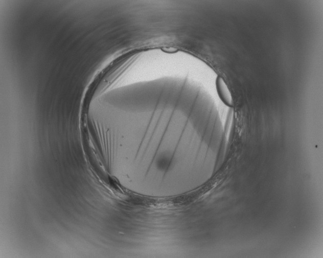 X0000066520196200604141823