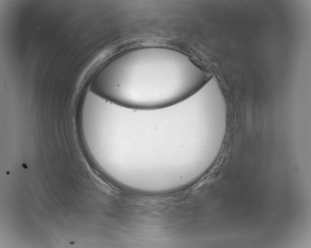 X0000066520197200604141822