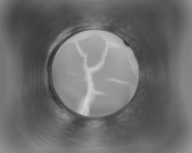 X0000066520198200604141822