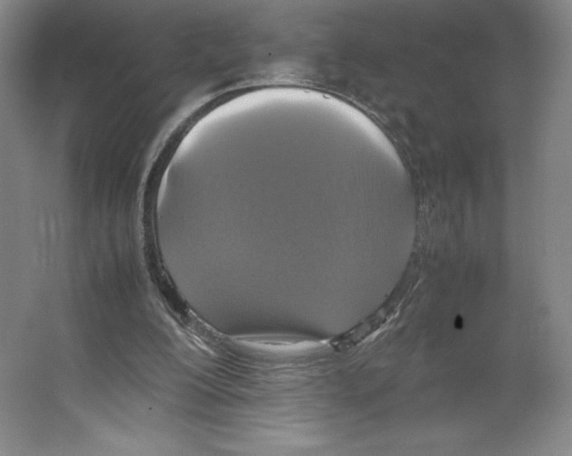 X0000066520200200604141822