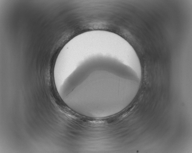 X0000066520202200604141822