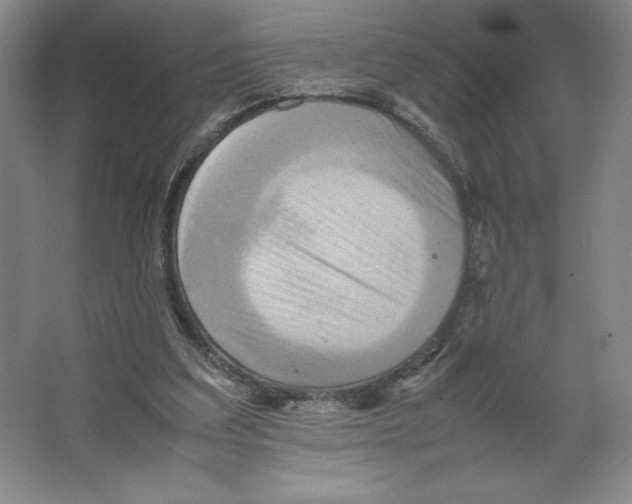 X0000066520203200604141822