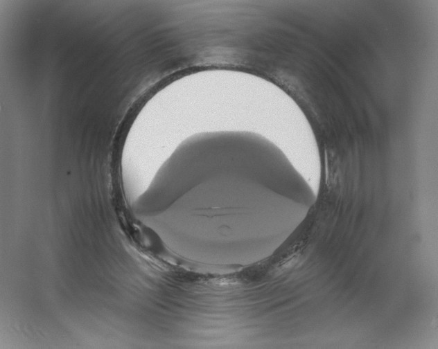 X0000066520204200604141822