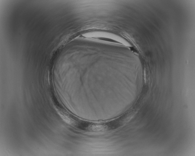 X0000066520205200604141822