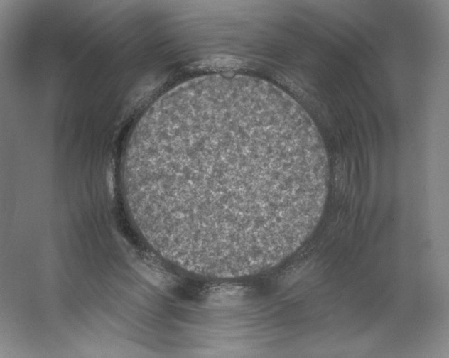 X0000066520206200604141822