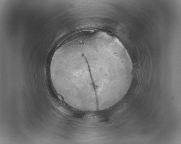 X0000066520207200604141822