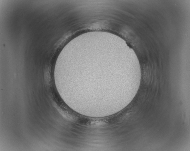 X0000066520208200604141822