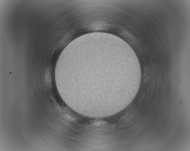 X0000066520210200604141822