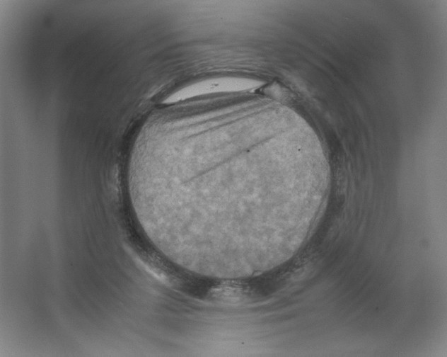 X0000066520211200604141822