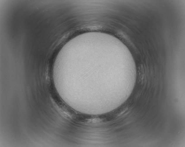 X0000066520212200604141822