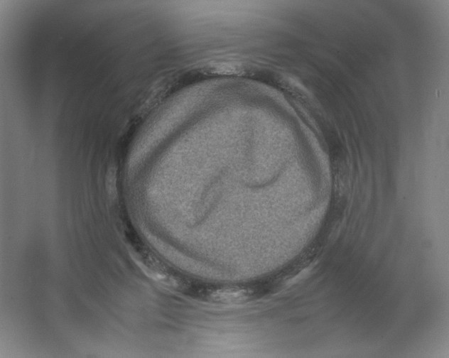 X0000066520213200604141822