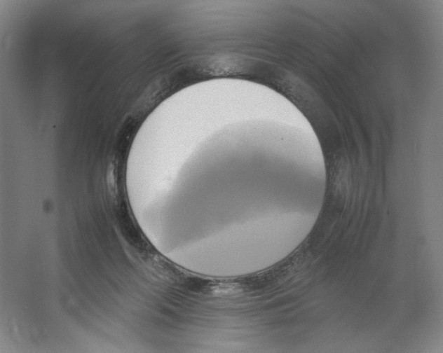 X0000066520214200604141822