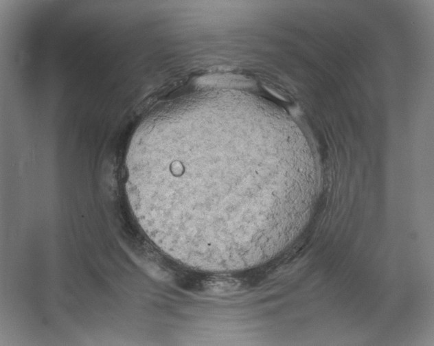 X0000066520215200604141822