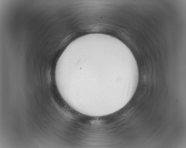 X0000066520216200604141822