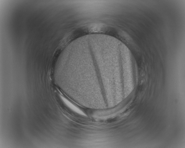 X0000066520217200604141822