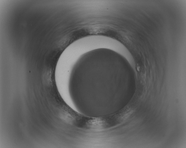 X0000066520219200604141822